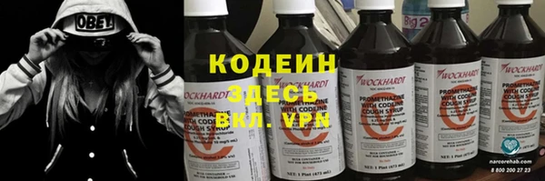стаф Магас