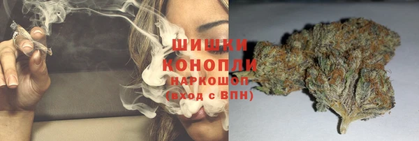 ПСИЛОЦИБИНОВЫЕ ГРИБЫ Лихославль
