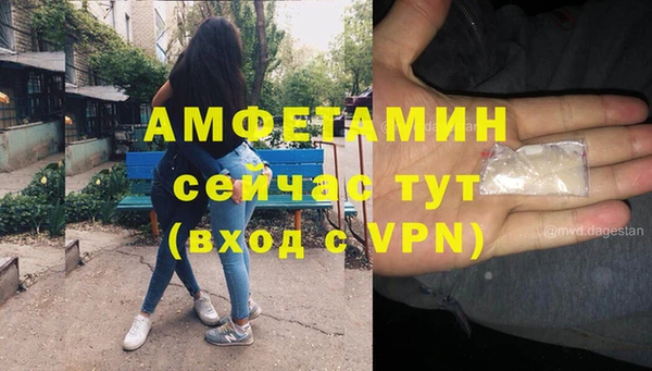 стаф Магас