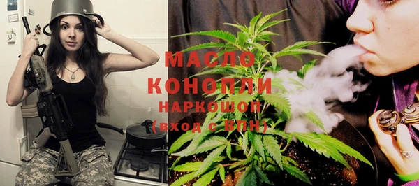 стаф Магас