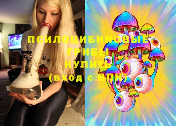 PSILOCYBIN Белоозёрский