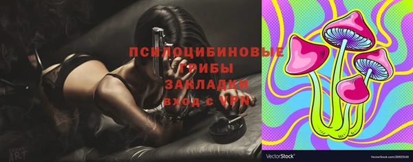 стаф Магас