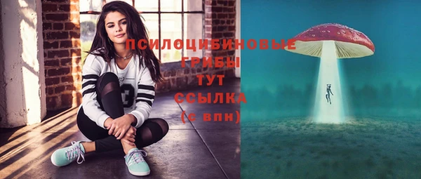 соль ск Тында